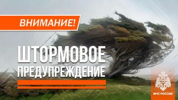 ����� � ����� �����, ������ ����� �� 20 �/� � ���, �� ��������� ��������� ���� �����, �� ������ �������� ��� �����, ������ ����� �� 20 �/� ��������� 26 ������