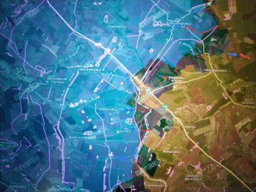 ���� �������: ��������-����������/������������ �����������