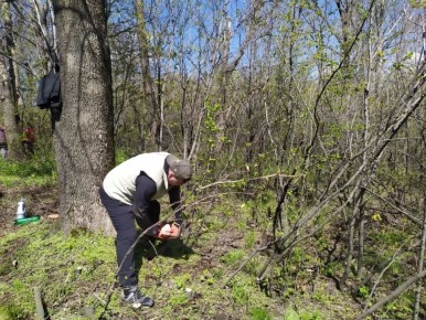 � ������ ������ ������������� ���������