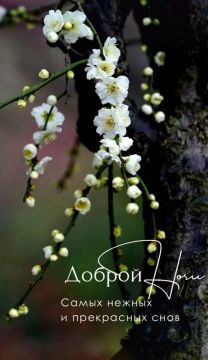 ������ ����!. ����������� ���� �������������