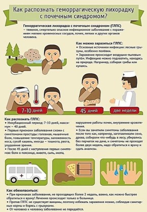 ���� � ��� ��������� �����������, ���������� ������, �����, ������ � ������ ������, ������� ����� ���� �����������