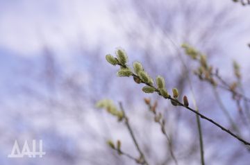 � �������������� ����������, ����� ����� ������ � ��������� ��� ������ � ���