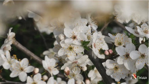 ����� ��������: ����������� ��������� ���!