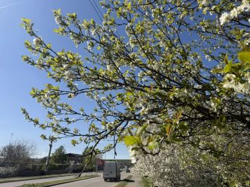 ������� ����������: ������ ���������� ����, ������� ������ �������������� ������!