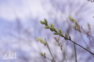 � �������������� ����������, ������ ����� ��������� ��� ������ � ���