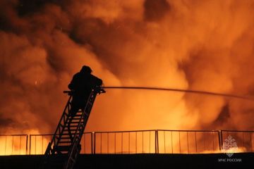 #������_���� �� �����. ������������� 22 ������, �� ��� ����������� � 6. 3 ���� ����������� ������ ���������