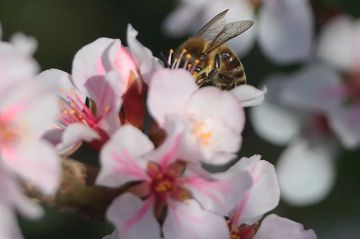 27 ������ � ���������� ���������� ����������, ��� ������������ �������