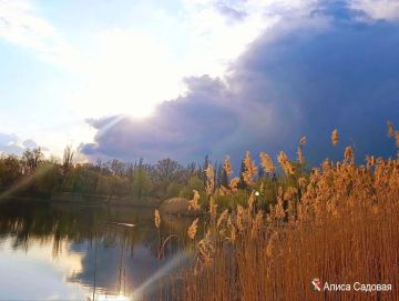 ����� ��������: ������������� ������������!