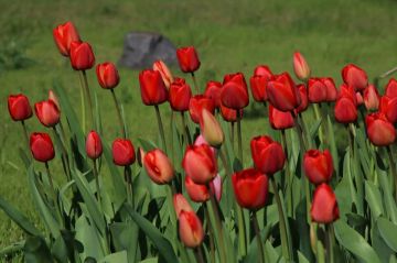 ������ ���� ������������ ������� ������ � �������� ���!