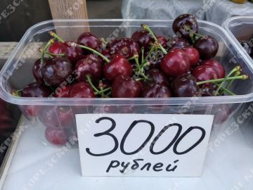 ������ ������� �� 3000 ������ �� ���� � �������