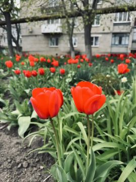 ������� ����������: ������ ����, ��������� ������!