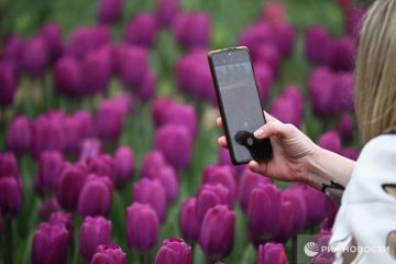 ������ �� ����� ����������� ������