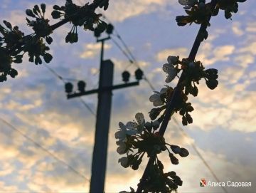 ����� ��������: ������ ����, ��������!. #�������� #������������������ #���������������