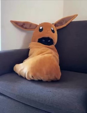 ������� �������� ��� ����� ����/�� ������ � ������� ����