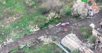 ������������ ����� ���� �� ��������� � ��������