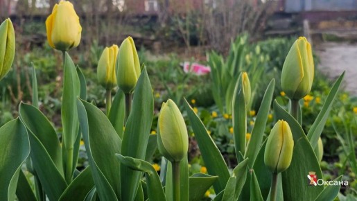 ����� ��������: � ����� ����!. #�������� #������������������ #���������������