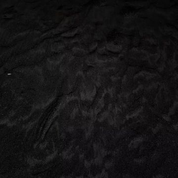 ����� � ���: ����� ������� �������� 2026 ����