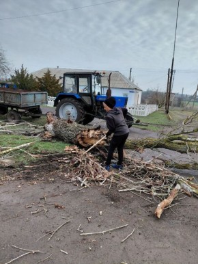 ������ ����������: �� ���������� ������������ �������������� ������ ������ ������ �� ����� ������ ��������� ����� �������� �������� ���������� ������ ������������� �������� ������������ ���� � ������������ ���������...