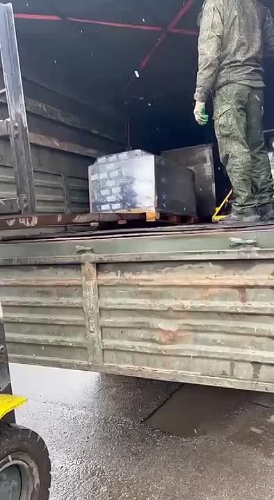 ���� ���������: �������, �������, �������� ������