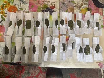 ������ ������������ �������� ������� ����������� ����� ����������