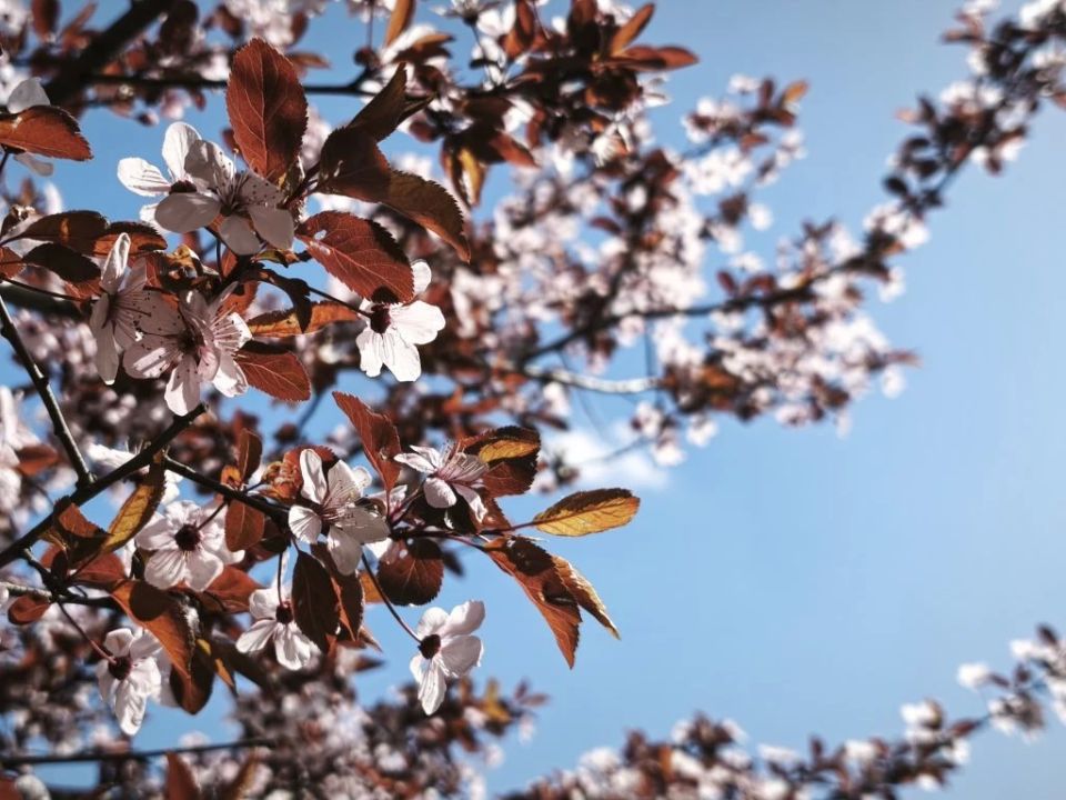 29 ������ � ���������� ���������� ����������, ��� ������������ �������