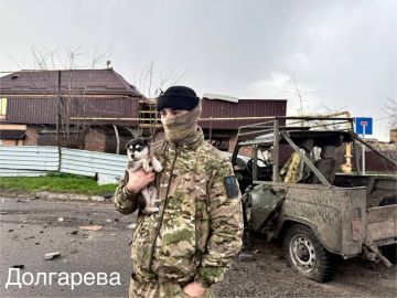 ���� ���������: ��������. ������.. @dolgarevaanna