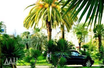 ���������, ��� ����! ������� ��������� � ��� ������ ������� �������