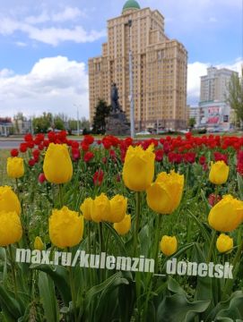 ������� ��������: ����� ���� ��������� � �������