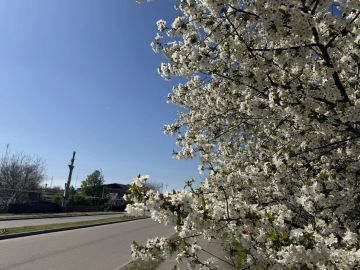 ������� ����������: � ������ �����, ������� �������!