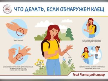 ������� ������! ��� ������ ��� ����������� �����