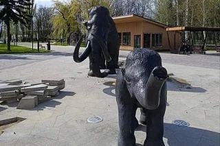� �������� ����� �������� ������ ������ ��� ���� ����� ��������