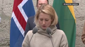 ��� ������: ��������� �� ������ ������� ����, ������ ������ � �����������