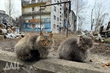 ������ ��� �������� � ��� ����� ������ ��������� ����������� � ��������