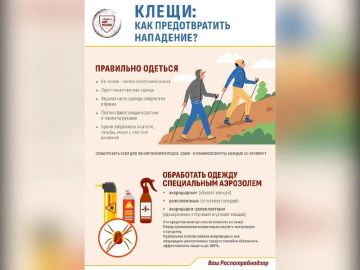������ ������ ������ ������