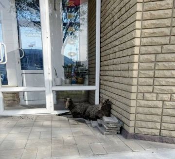 ��� ������� ���������� �� ��������� 250-����� ��������, 7 � ��������