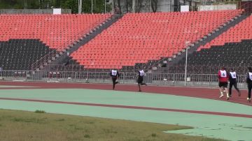 � ������� ������� �������� ���������� ���������� �� ��� ������ ������ ����� � ������������ ������� ������� �� ����� �������� ����� ������� ��������, ����������� 81-� ��������� ������ � ������� ������������� �����