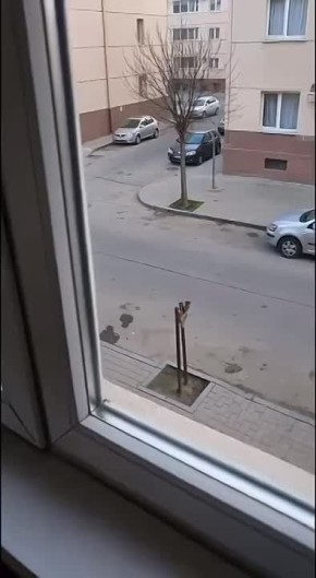 ������� �� ����� � ������������ ������� ����