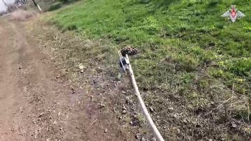 ���������� ������: ������ ������������� ������� ������ ����������� ����� ������ ����������� ���� ������� ��������� �� ������������� �����������
