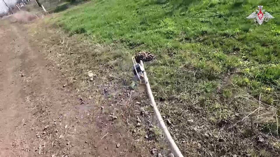���������� ������: ������ ������������� ������� ������ ����������� ����� ������ ����������� ���� ������� ��������� �� ������������� �����������