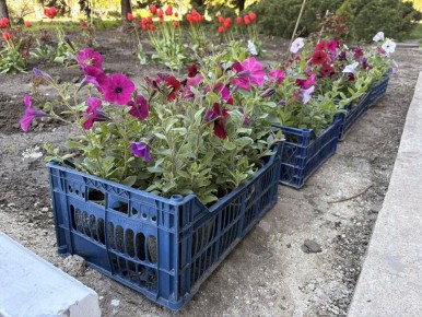 � ������ ���������� ������������� ����� ������� �������, �������������� ������ ��� ������� ���������, �� �������� ������ � ����� ������������� ������������� �������������� ������ ��������� ����� ������ � ���������