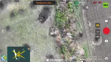 ���� ���� ���� ��������� ������