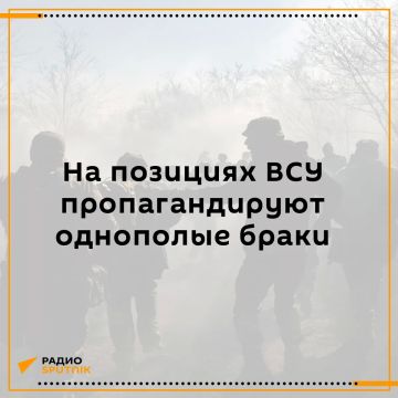 ��������� ����� � ���: � ��� ���� ���������� ����-��������*