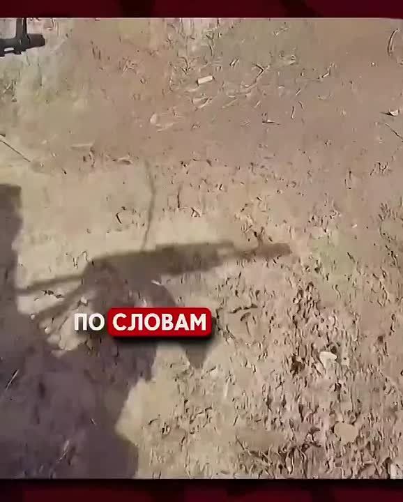 ������ �������: �����.. ����� �� ���������� �������������, �� ���������� �� �������� ���������� ����������� ����������� ���������� �������� �� ������. ������, ���������� �� ����� ������� ������ �������� ��������. ������� ��...