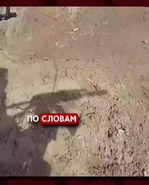 ������ �������: �����.. ����� �� ���������� �������������, �� ���������� �� �������� ���������� ����������� ����������� ���������� �������� �� ������. ������, ���������� �� ����� ������� ������ �������� ��������. ������� ��...