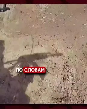������ �������: �����.. ����� �� ���������� �������������, �� ���������� �� �������� ���������� ����������� ����������� ���������� �������� �� ������. ������, ���������� �� ����� ������� ������ �������� ��������. ������� ��...