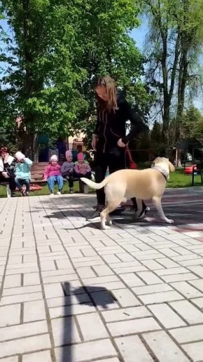 ������: ������ �����, � ������ ������ �����
