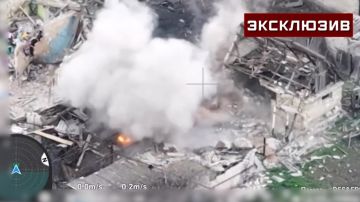 ���� ��������: ����� ����������, ��� ����������� ���������