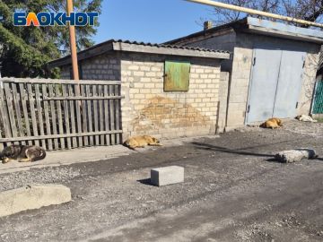 ���� ����� ������ � ������ ������� ����������� ������ �������