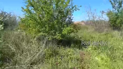 ������ �������: � ������� �������� ������ �������� ����������� ����� ������ ���������� ����� 180 ������� ���� ��� �� ������������� �����������