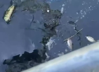�������� ��� ���� ��-�� ����������� ���� �������� ��������� � ���